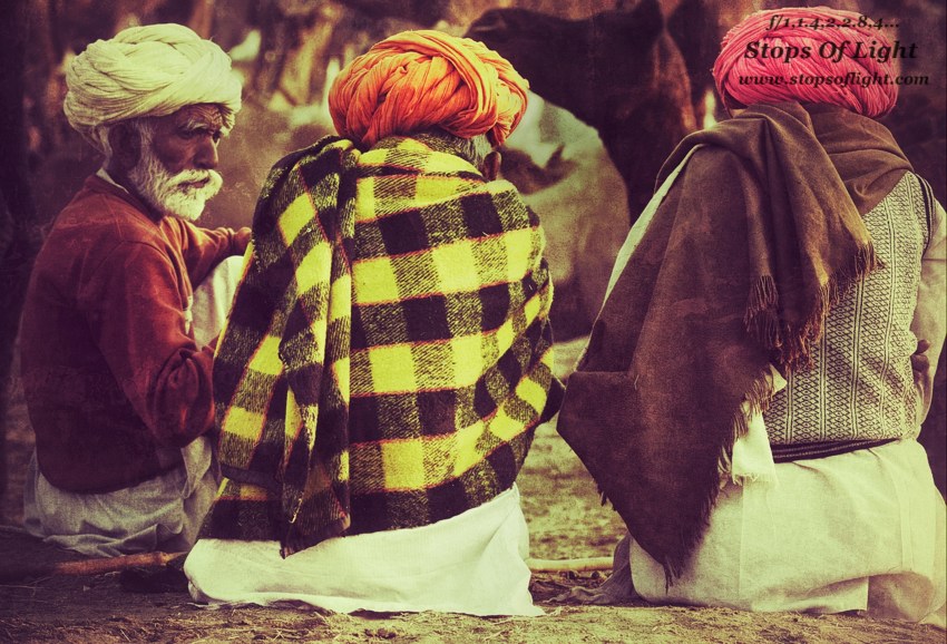 photography tour pushkar camel fair india