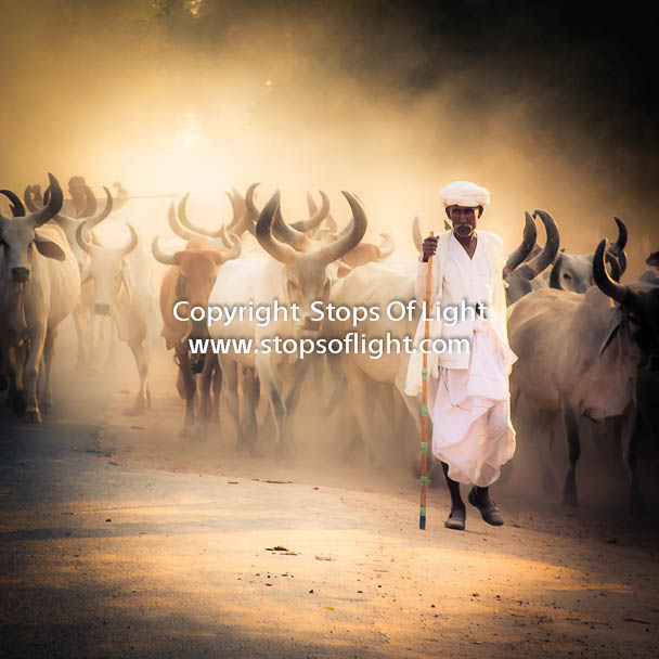 Fine Art Photography India : A Day in the Life of India - NH 8