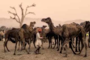 photography tour rajasthan