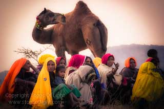 photography tour pushkar camel fair