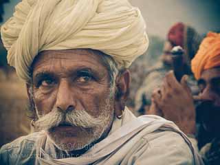 photography tour pushkar camel fair photography tour rajasthan