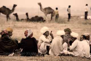 photography tour pushkar camel fair photography tour