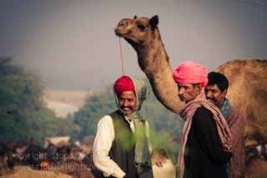 pushkar camel fair photo tour india photo tour