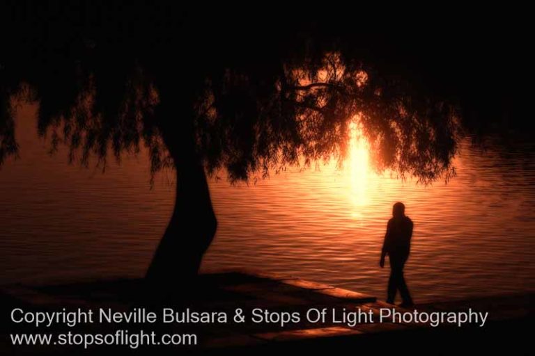 Online Photography Masterclass - Neville Bulsara's What A Wonderful World